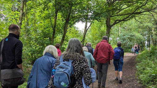 group of walkers on a guided stroll through trees